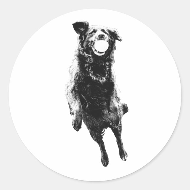 Quiet ball carry runder aufkleber (Vorderseite)