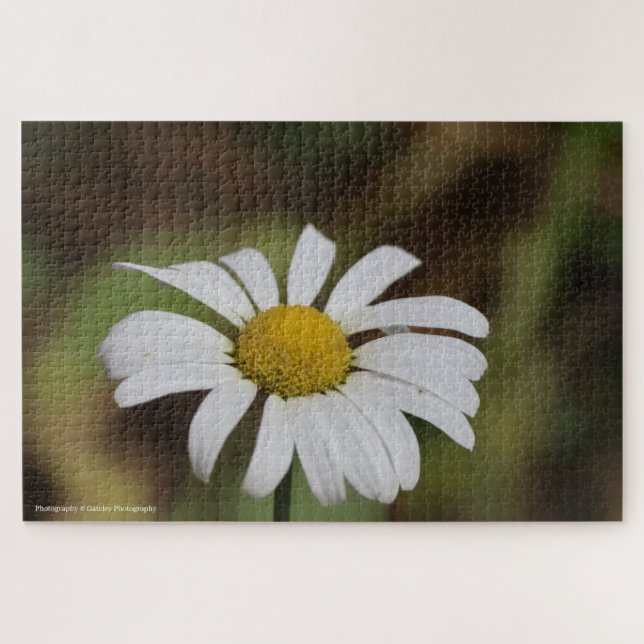 Quiet Bloom – Great Smoky Mountains Daisy Puzzle (Horizontal)