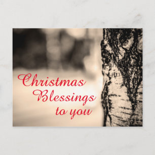 Quiet Peace Rustic Birch Tree Christmas Blessings Feiertagspostkarte