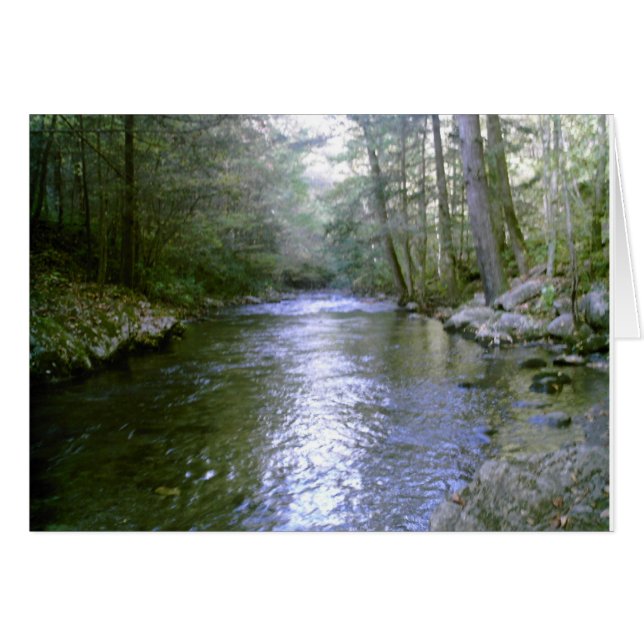 Quiet River (Vorderseite (Horizontal))