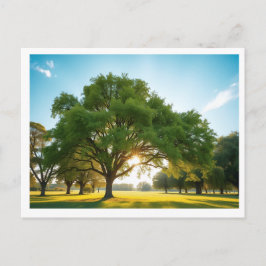 Quiet Time With a Big Tree – Holiday Postcard Feiertagspostkarte