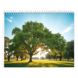 Quiet Time With a Big Tree  Kalender