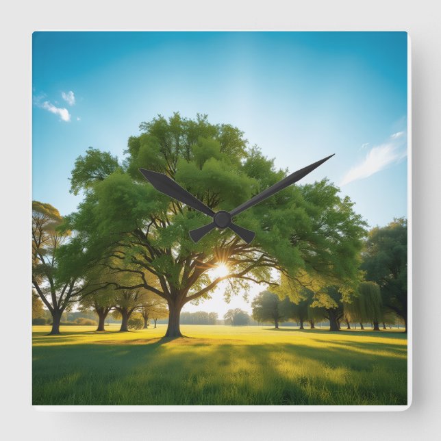 Quiet Time With a Big Tree  Quadratische Wanduhr (Vorderseite)