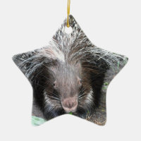 Quilled Stachelschwein-Verzierung