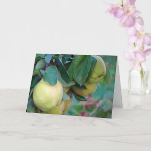 Quince Fruit Card Karte