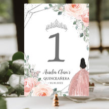 Quinceañera Birthday Blush Pink Floral Princess