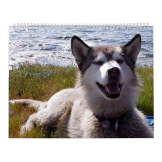 Quinns Kalender 2007