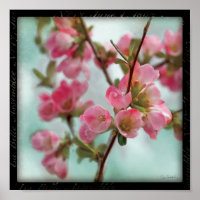 Quinte Blüten