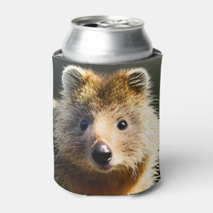 Quintin The Ginger Quokka, Can Cooler Dosenkühler
