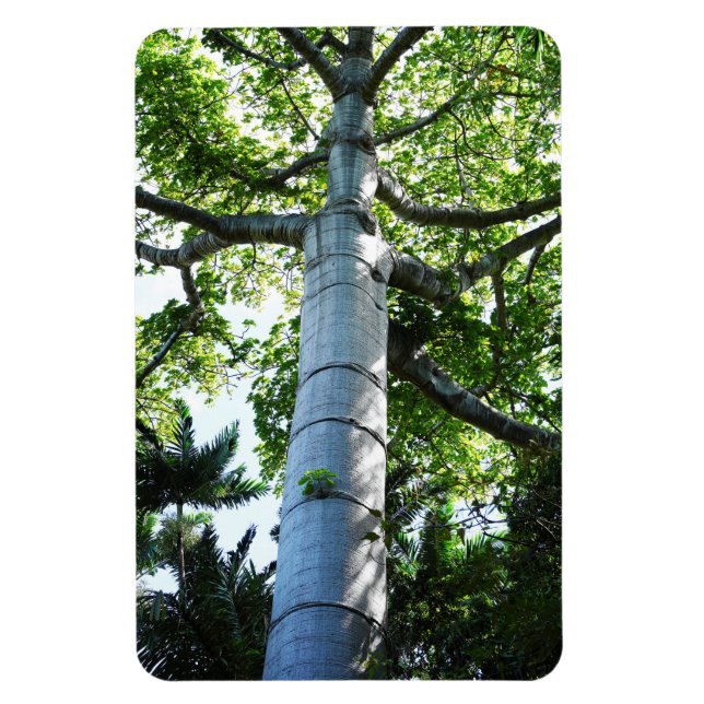 Quipo Tree Foto Magnet (Vertikal)