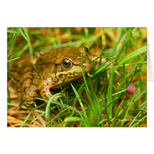 Quirkischer einseitiger Dialog mit einem kleinen g