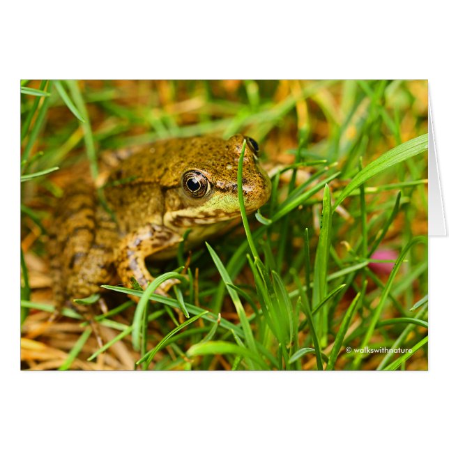 Quirkischer einseitiger Dialog mit einem kleinen g (Vorderseite (Horizontal))