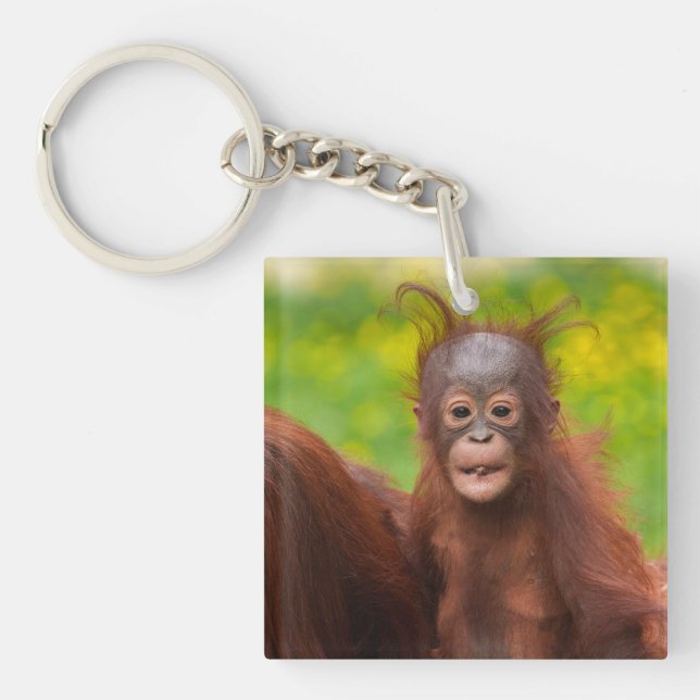 Quirky-Charme eines Orangutan-Babys Schlüsselanhänger (Vorderseite)