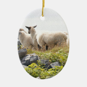 Quirky Designs - Schafe in einem Feld Keramik Ornament