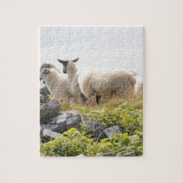 Quirky Designs - Schafe in einem Feld Puzzle