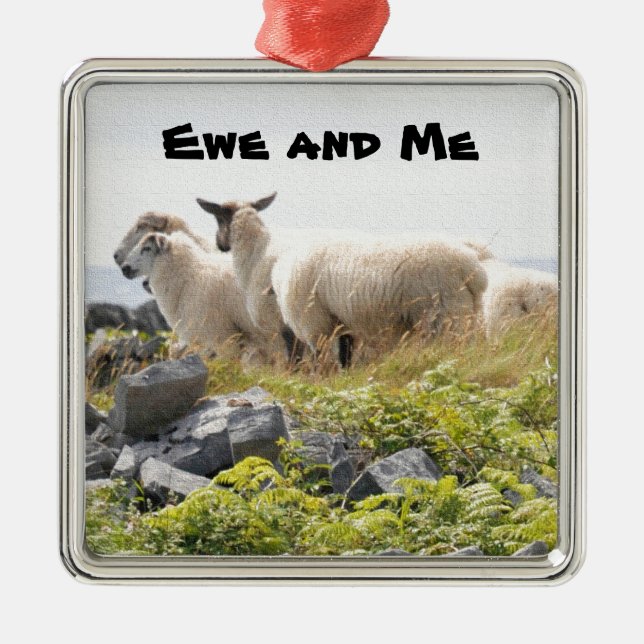 Quirky Designs - Schafe in einem Feld Silbernes Ornament (Vorne)