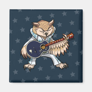 Quirky Owl Rock & Roll Artwork Singer With Guitar Magnet
