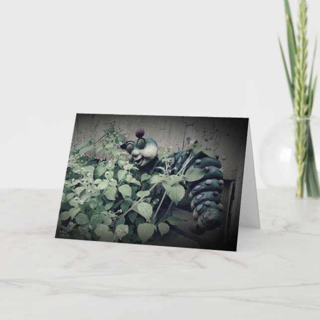 "Quite Contrary" - "Get Well Card" Karte (Vorderseite)