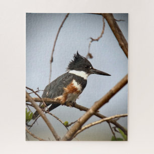 Quitte Kingfisher Puzzle