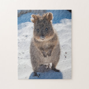 Quokka am Strand, 252 Stück Puzzle