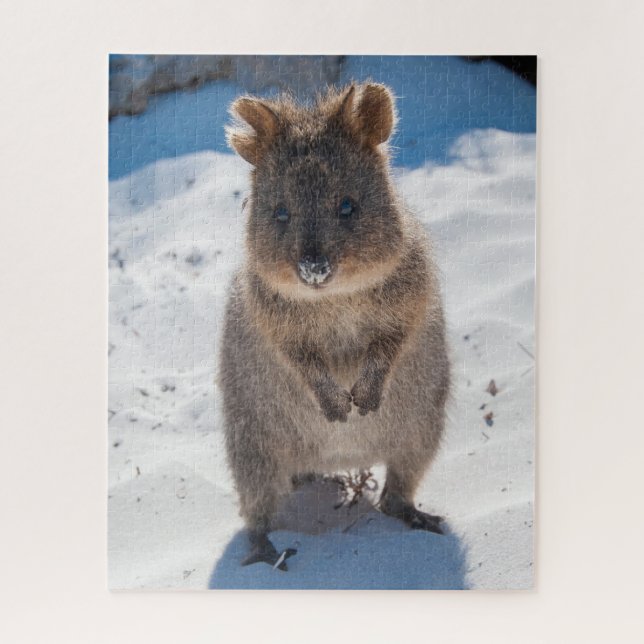 Quokka am Strand, 520 Stück Puzzle (Vertikal)