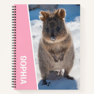 Quokka am Strand Australien, Mädchen mit rosa Akze Notizbuch