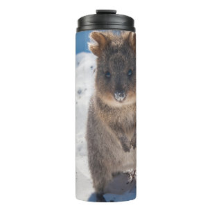 Quokka am Strand Australien, Mädchen mit rosa Akze Thermosbecher