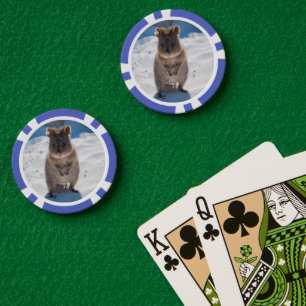 Quokka am Strand in Australien, Süße Tier Pokerchips