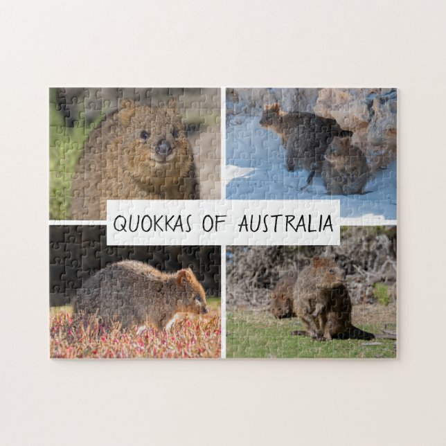 Quokka aus Australien, 252 Stück Puzzle (Horizontal)