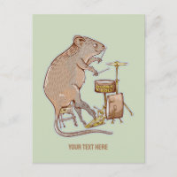 Quokka Australian Animal Drummer