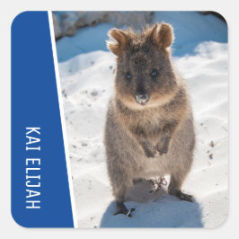 Quokka Cute Animal on the Beach Australia Blue Quadratischer Aufkleber