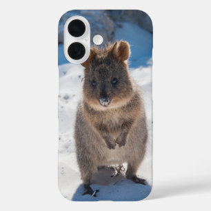 Quokka Happy Animal am Strand Australien iPhone 16 Hülle