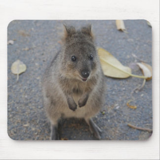 Quokka-Maus-Pad Mousepad