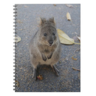 Quokka-Notebook Notizblock