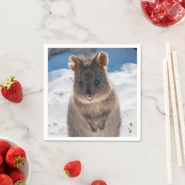 Quokka on the beach in Australia, cute photo Serviette (Beispiel)