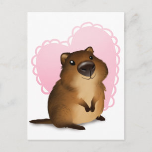 Quokka Postkarte