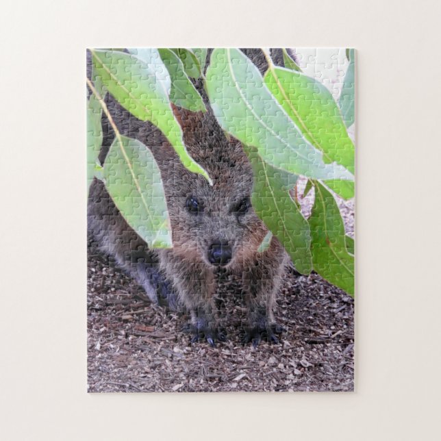 Quokka Puzzle (Vertikal)