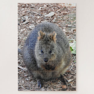 Quokka Puzzle