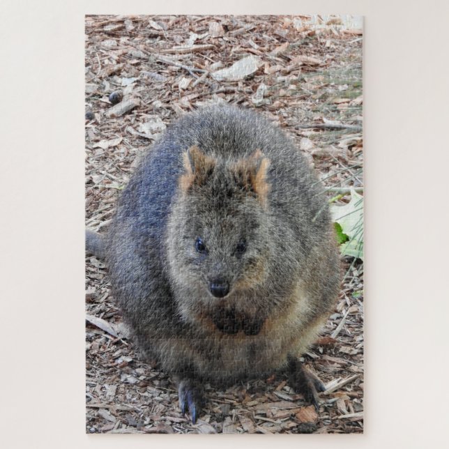 Quokka Puzzle (Vertikal)