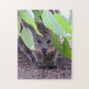 Quokka Puzzlespiel Puzzle
