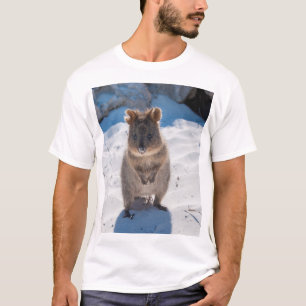 Quokka, Rottnest Insel, Australien T-Shirt