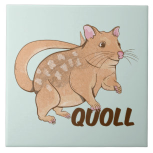 Quoll Australian Marsupial Fliese