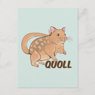 Quoll Australian Marsupial Postkarte