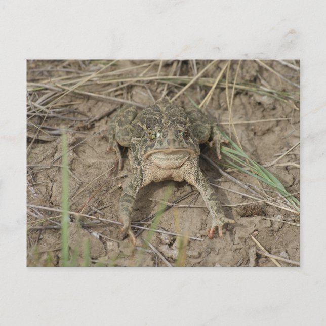 R10 POSTKARTE (Vorderseite)