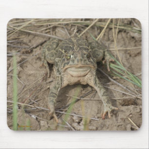 R10 Präriekröte Mousepad