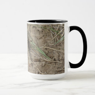 R10 TASSE