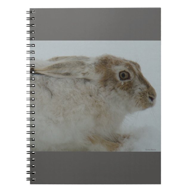 R11 Schneeschuh-Hareschuss Notizblock (Vorderseite)