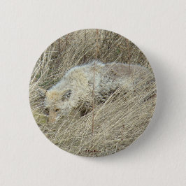 R13 Coyote in Großgras Button