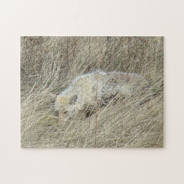 R13 Coyote in Großgras Puzzle (Horizontal)