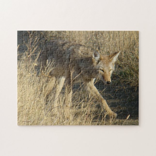 R14 Coyote Walking Puzzle (Horizontal)